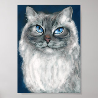Impressão de Gato Siberiano
