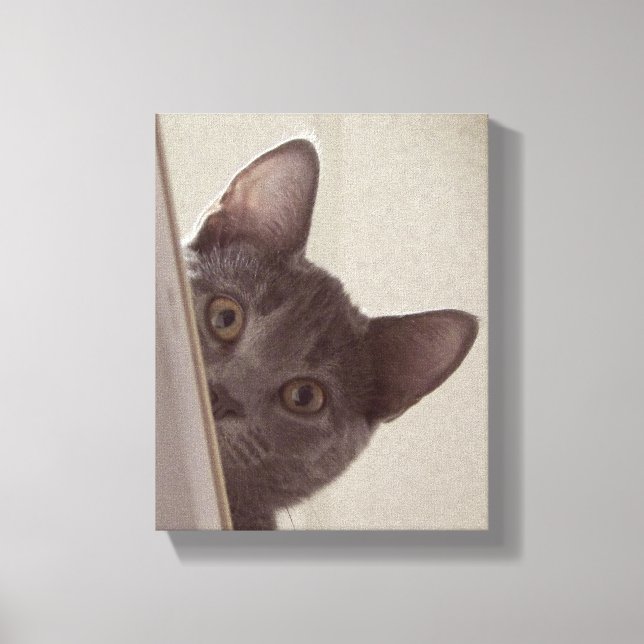 impressão de "Gato Sneaky" na Canvas Esticada (Frente)