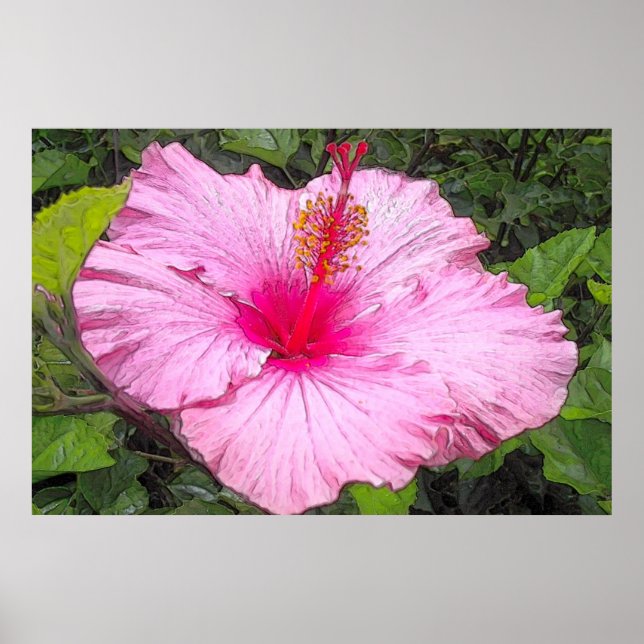 Impressão de Hibiscus Watercolor (Frente)