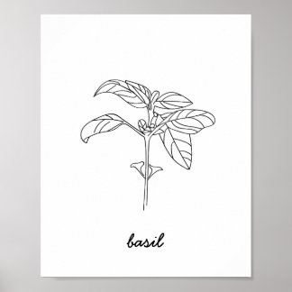 Impressão de Ilustração de Basil