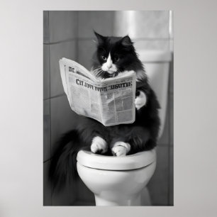 Impressão de jornal de gato engraçado, parede capr