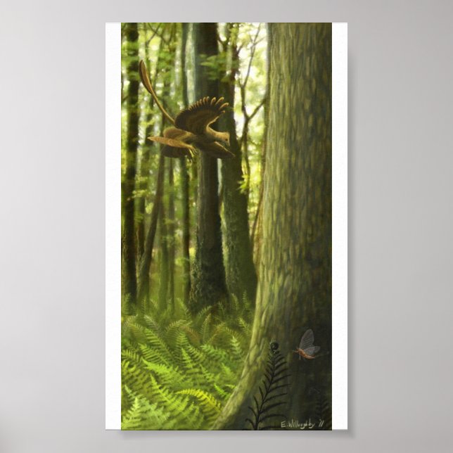 Impressão de justaposição de Jehol (Frente)