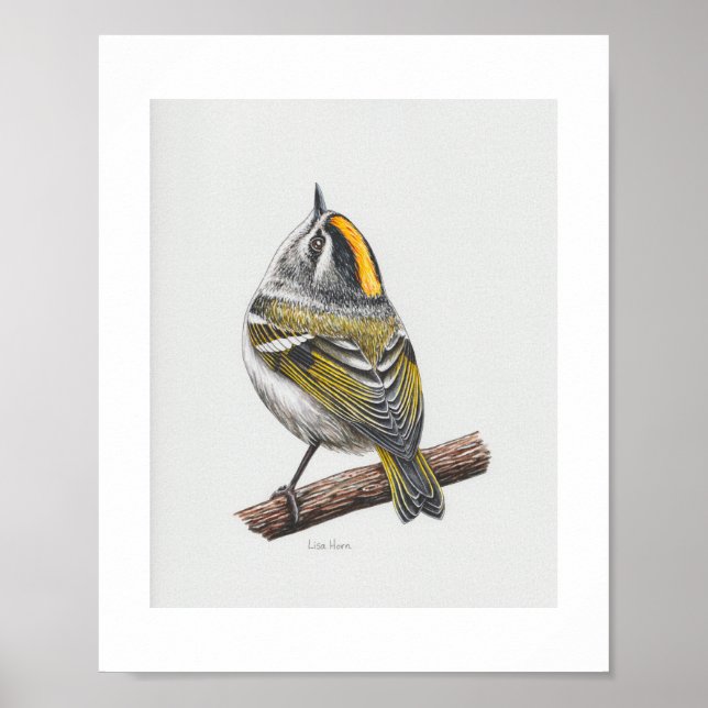 Impressão de Kinglet Art com ouro (Frente)