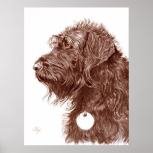 Impressão de Labradoodle do chocolate