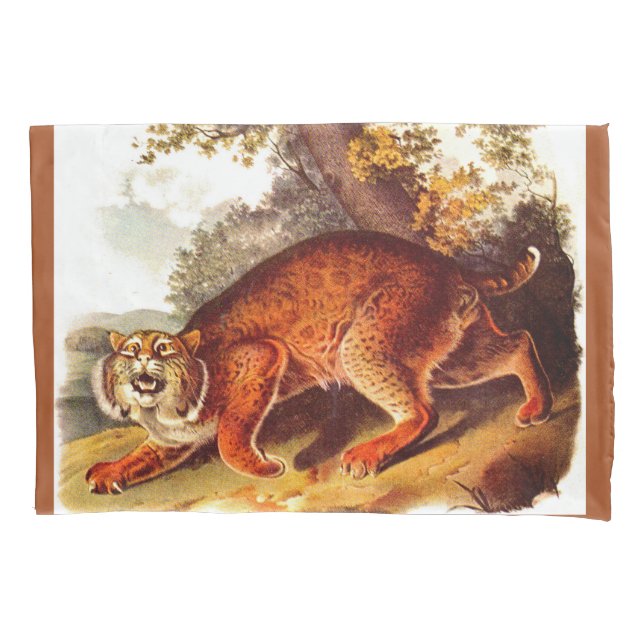 impressão de lince do século XIX (Frente-Esquerda)