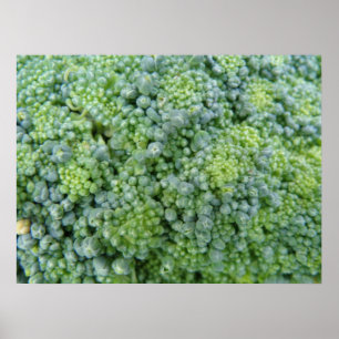 Impressão de Macro Broccoli
