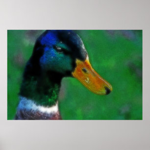 Impressão de Mallard, no sul
