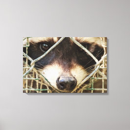 IMPRESSÃO DE MAPACHE EM TELA
