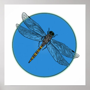 Impressão de Mosquito Azul Claro de Verão