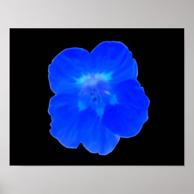 Impressão de Nastúrcio Azul (Frente)