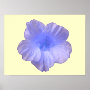 Impressão de Nasturtium azul lindo