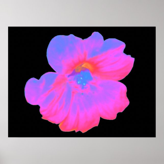 Impressão de Nasturtium rosa (Frente)