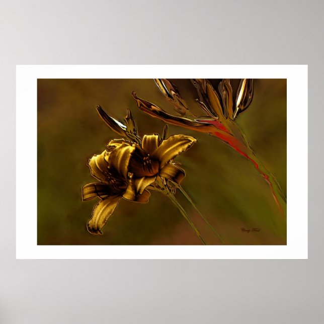 impressão de "OURO LILLIES" (Frente)