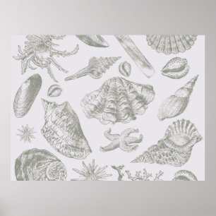 Impressão de Padrão de Arte de Seashell de cinza