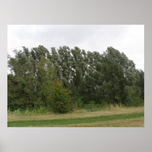 Impressão de Paisagem de Palangres