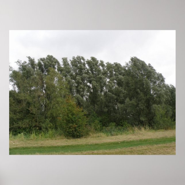 Impressão de Paisagem de Palangres (Frente)