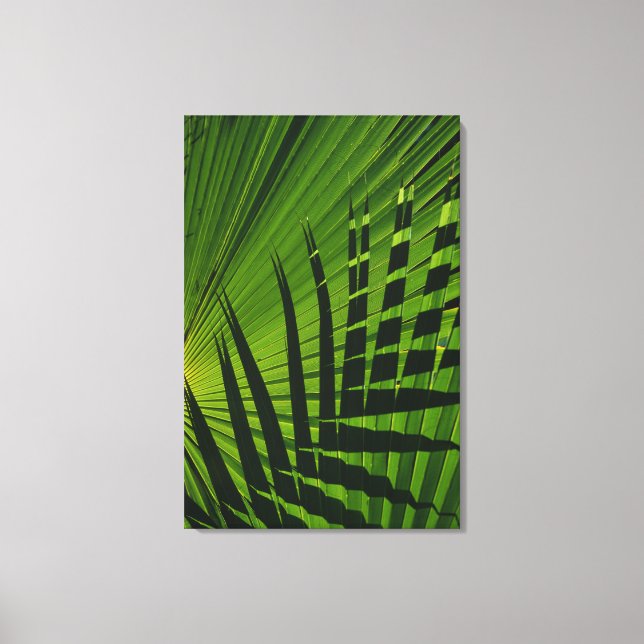 Impressão de Palm Frond na Canvas (Frente)