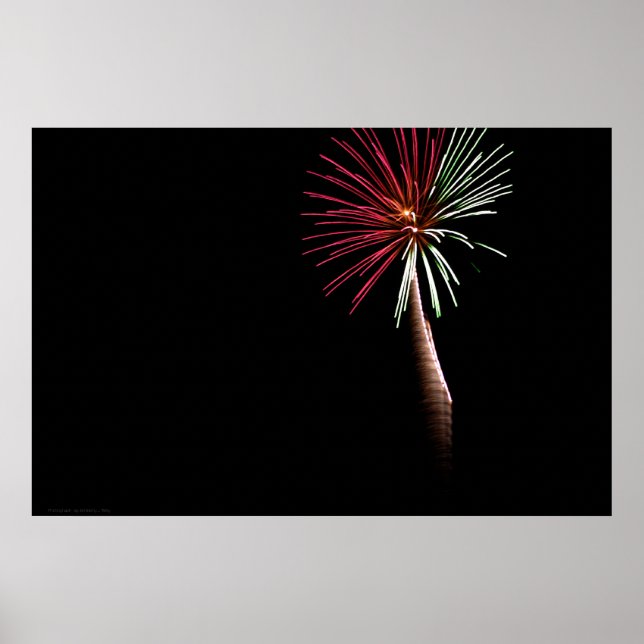 Impressão de Palma Vermelha e Verde (Frente)