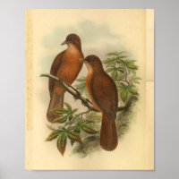 Impressão de pássaro castanho-marrom, de madeira b