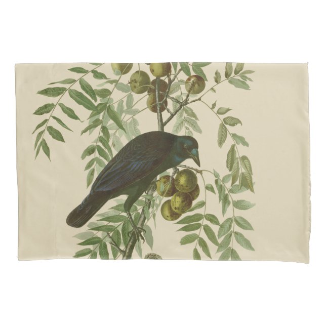 Impressão de Pássaro Grackle Roxo de Audubon Vinta (Frente)