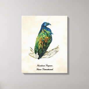 Impressão de pássaro pintado à mão na Canvas