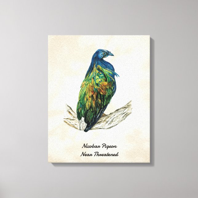 Impressão de pássaro pintado à mão na Canvas (Frente)