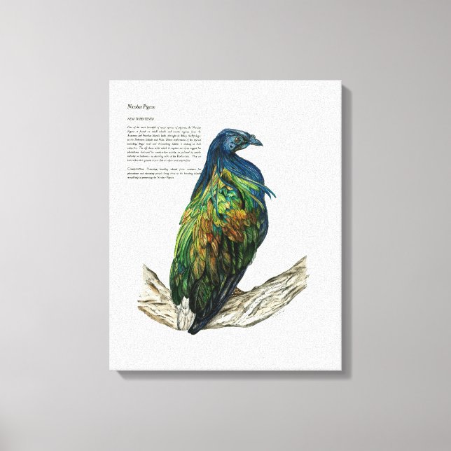 Impressão de pássaro pintado à mão na Canvas (Frente)