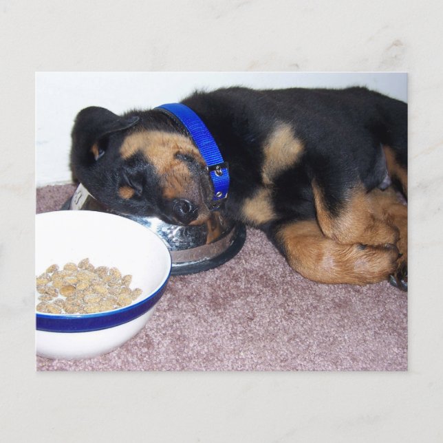 impressão de pata no seu cartão memorial de perda  (Frente)