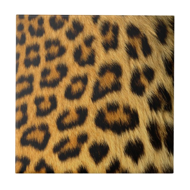 Impressão de peles de leopardo (Frente)