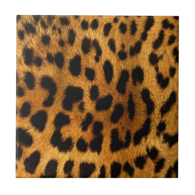Impressão de peles de leopardo (Frente)