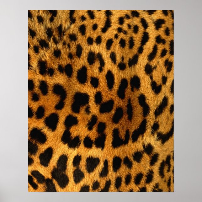 Impressão de peles de leopardo (Frente)