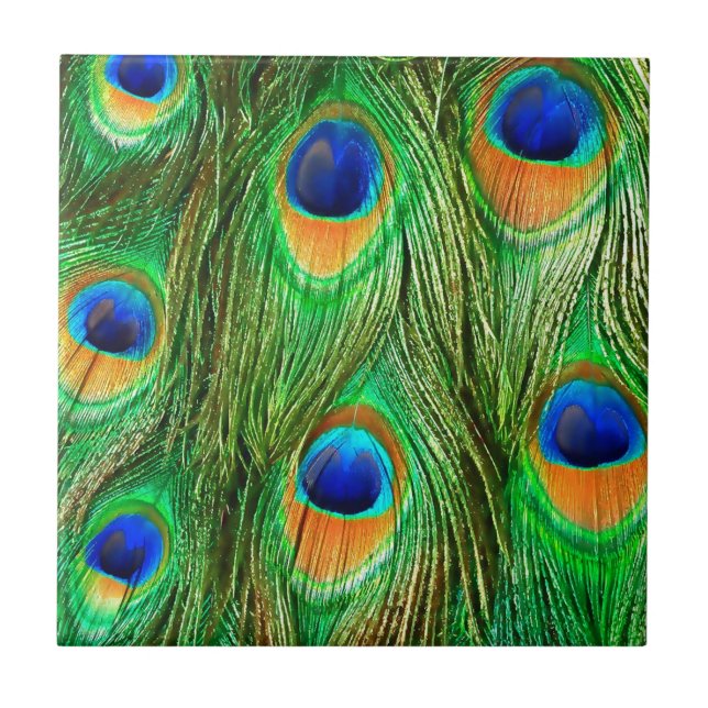 Impressão de Penas de Peacock Coloridas (Frente)
