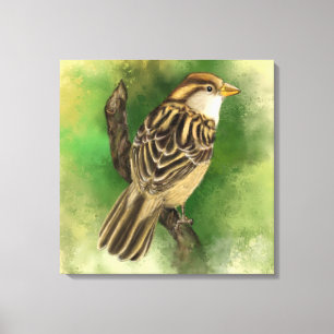 Impressão de Pequena Tela Sparrow - Pintura - Verd