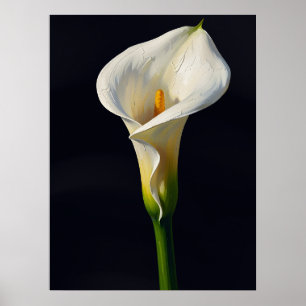 Impressão de pintura a óleo de arte fina de lírio 
