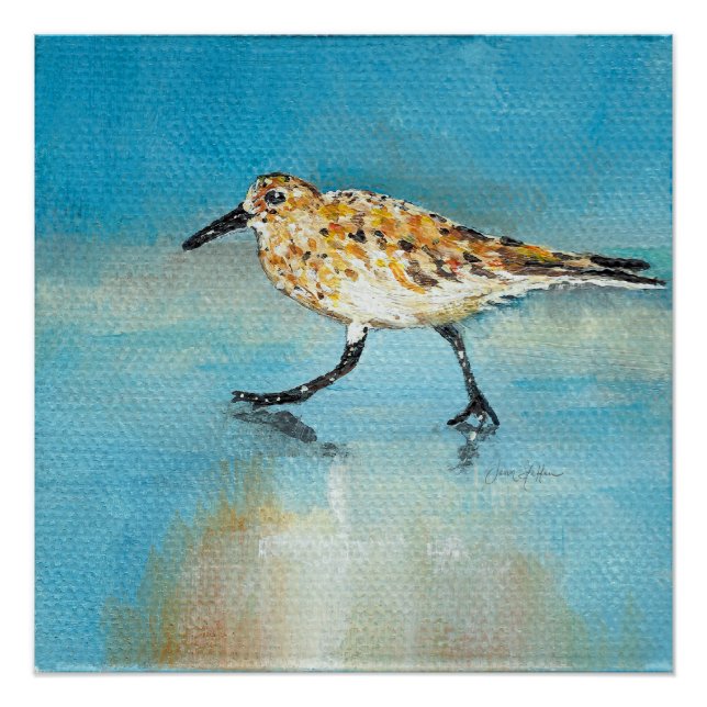Impressão de pintura de Sandpiper (Frente)