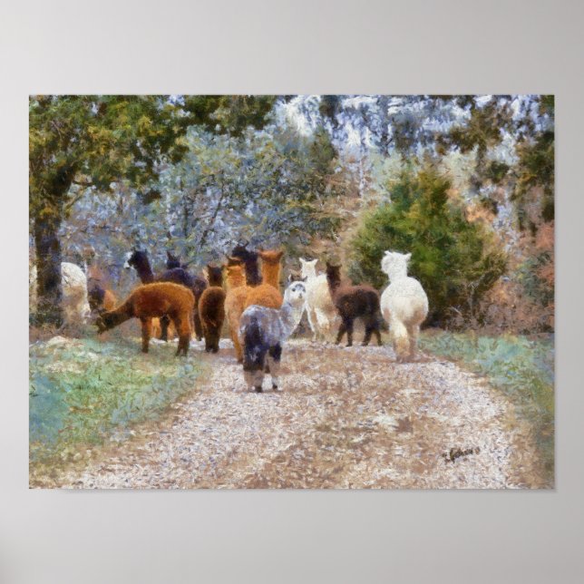 Impressão de pintura digital do Alpacas (Frente)