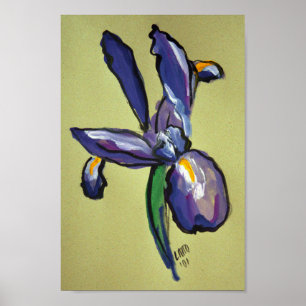 Impressão de pintura moderna Iris Aeronáutica