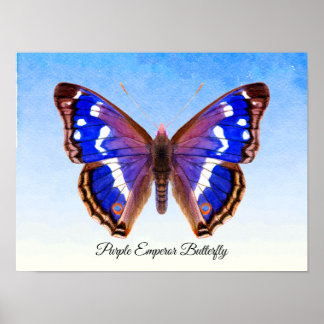 Impressão de pintura por aquarela imperadora roxa