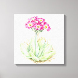 Impressão de plástico de canvas rosa-primula