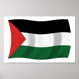 Impressão de Poster da Bandeira da Autoridade Pale