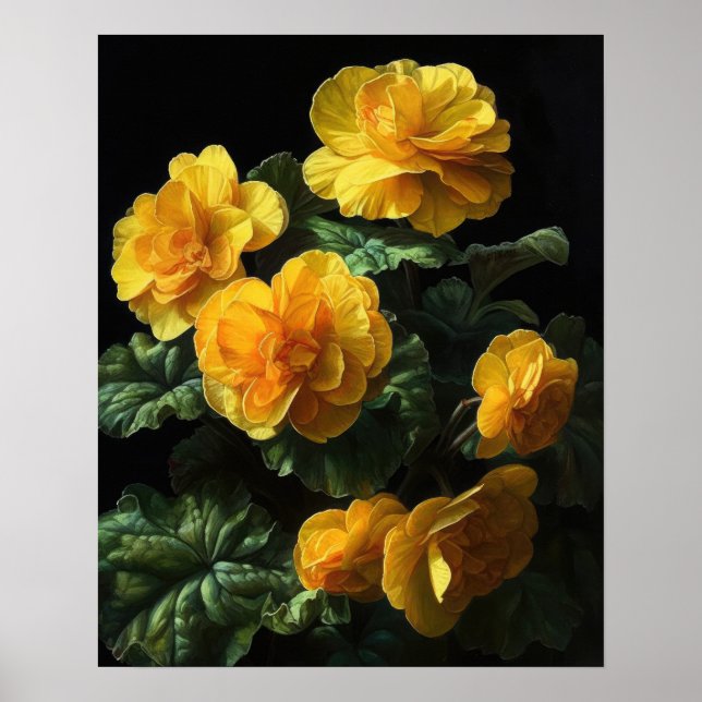 Impressão de Poster da Begonia Amarela Flores (Frente)