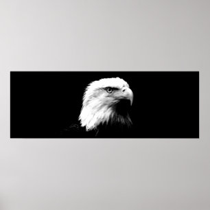 Impressão de Poster de Águia Americana Bald Eagle