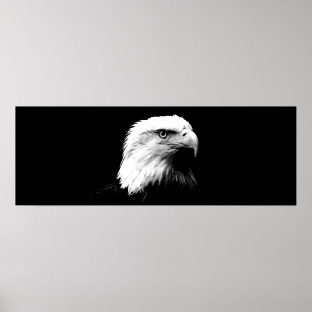 Impressão de Poster de Águia Americana Bald Eagle  (Frente)