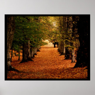 Impressão de Poster de Caminho de outono