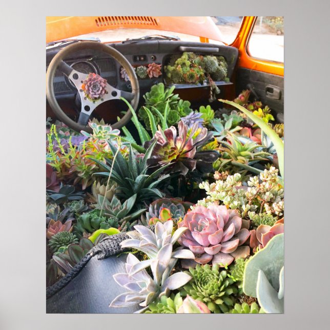 Impressão de Poster de Carro Suculto (Frente)