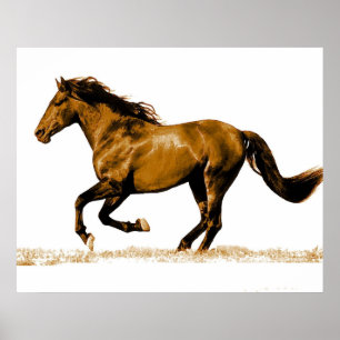 Impressão de Poster de Cavalo em Execução