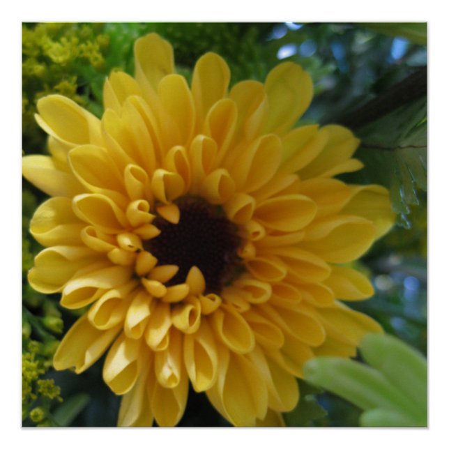 Impressão de Poster de Flor Amarela (Frente)