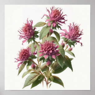 Impressão de Poster de Flor de Abelhas Rosa