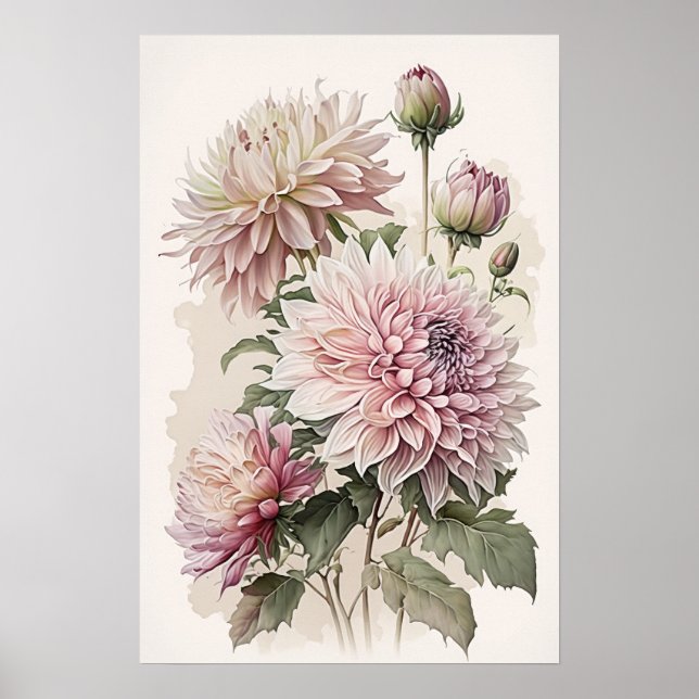 Impressão de Poster de Flor Rosa Dahlias (Frente)
