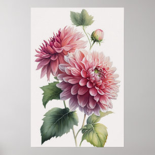 Impressão de Poster de Flor Rosa Dahlias